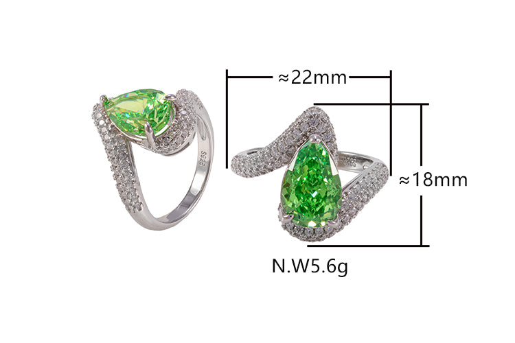 Anel Perfeicao Prata 925 XYR101434