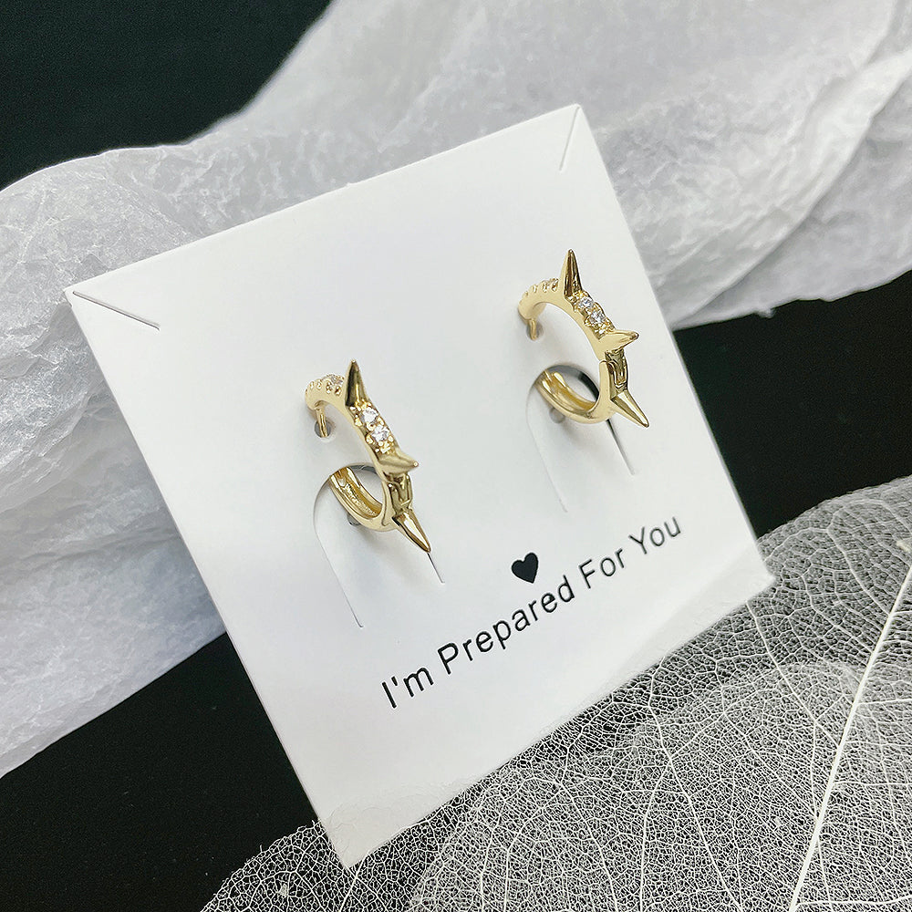 Brincos Argolinhas Spike XYE103974