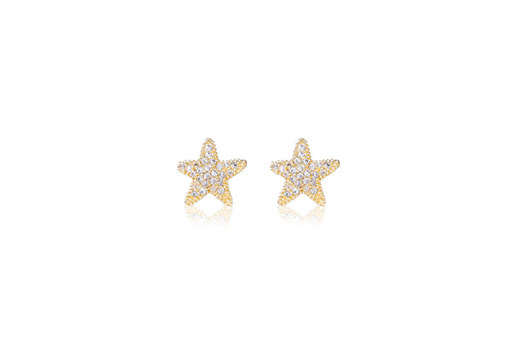 Brincos Estrelas do Mar Cravejada DCG1008