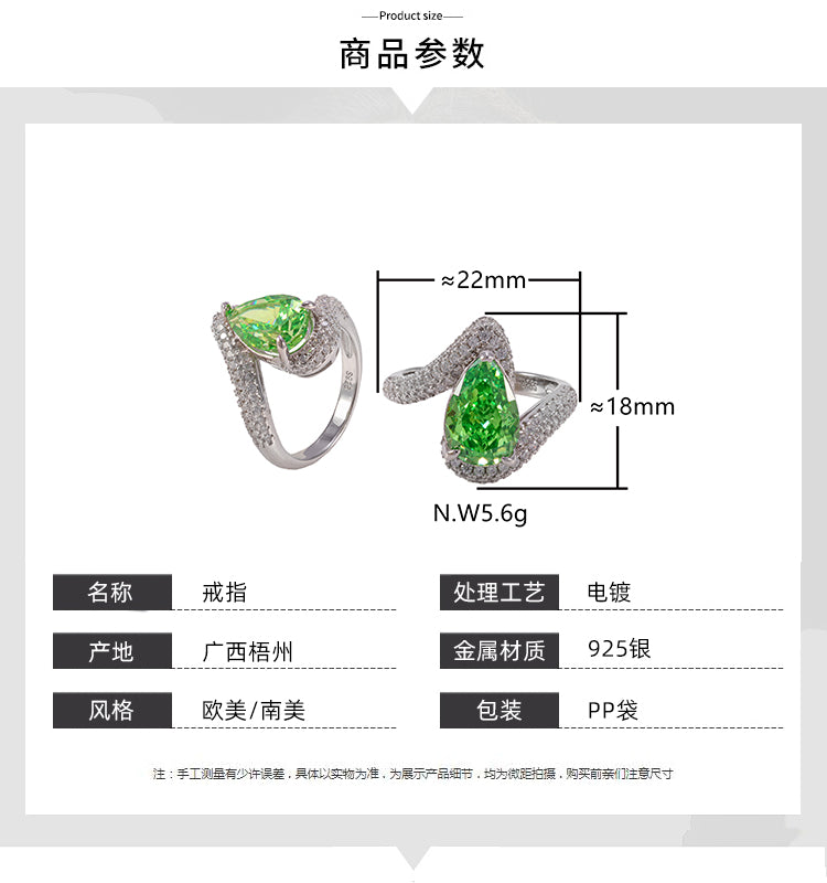 Anel Perfeicao Prata 925 XYR101434