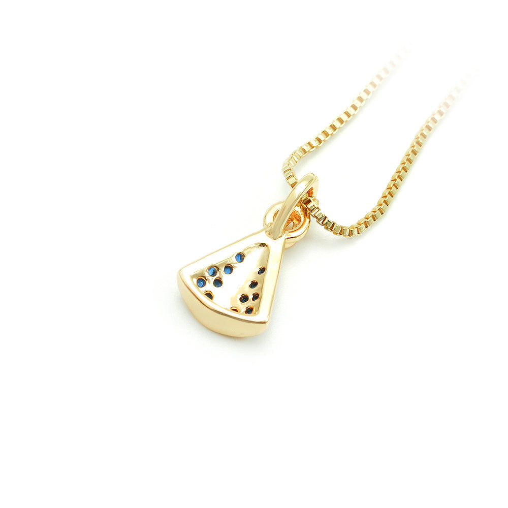 Colar nossa Senhora Aparecida Cravejada- XYP101830