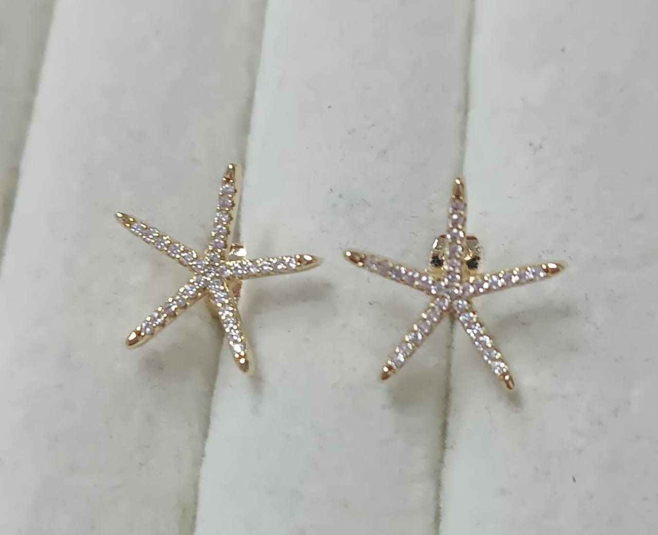 Brincos estrela do Mar cravejada DCG1004