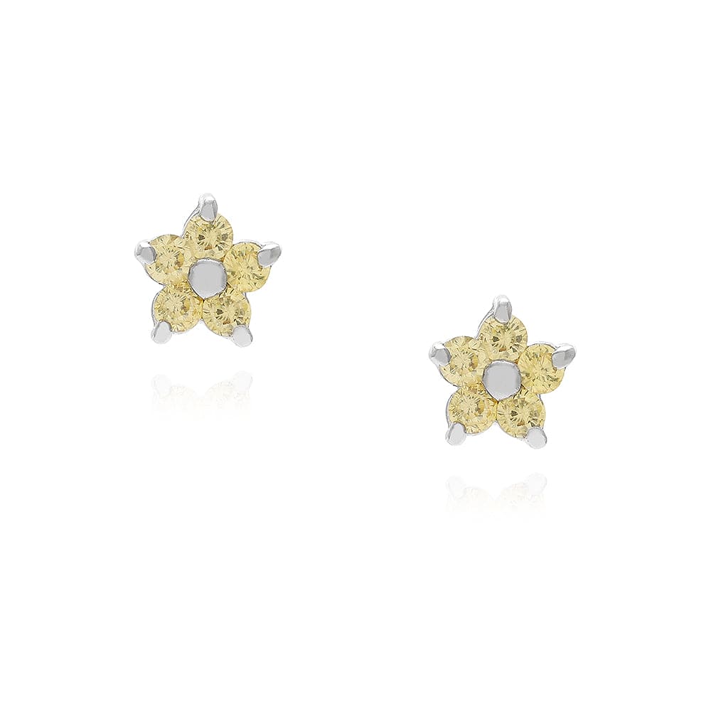 Brinco Flor Delicada XYE180927 earring