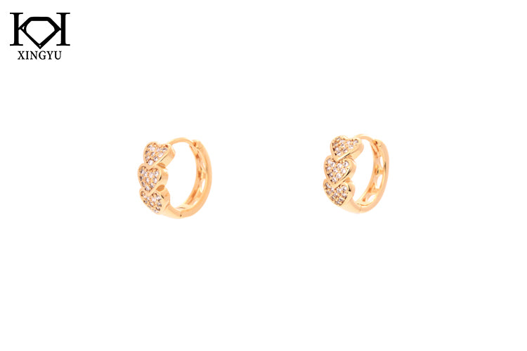Brincos argolinhas luxo DCG0219