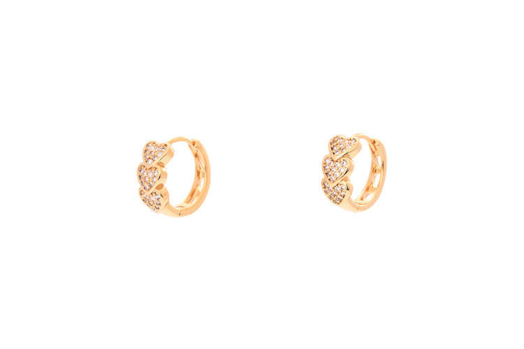 Brincos argolinhas luxo DCG0219