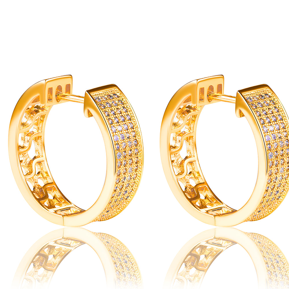 Brincos Luxo e Leveza YE0004