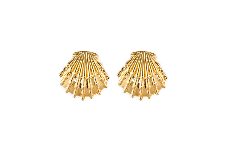 Brincos Conchas ECG0227