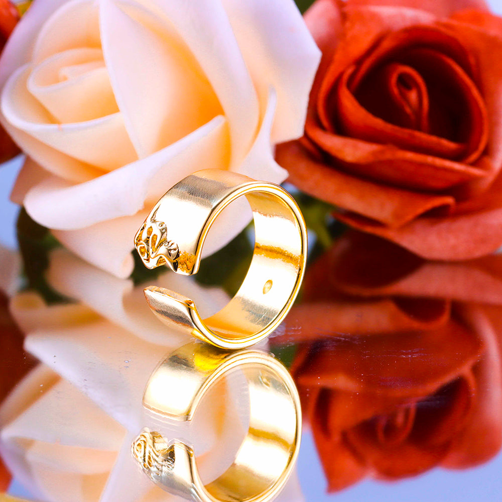 Anel ajustavel Poder DCG0792