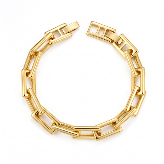 Pulseira Elos Luxo DCG1845