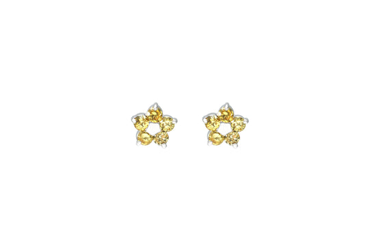 Brincos Flores Colors XYE61234