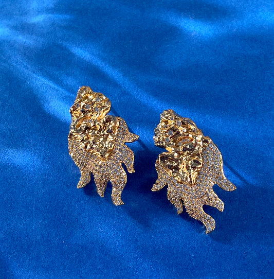 Brincos Chama XYE105622