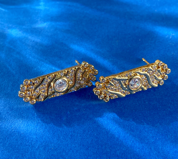 Brincos Fascinantes XYE105620