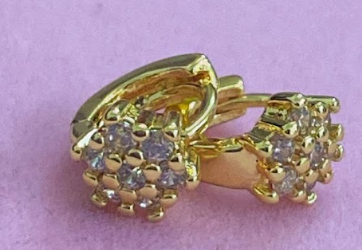 Brinco argolinha Chuveiro Cristal DCG0286