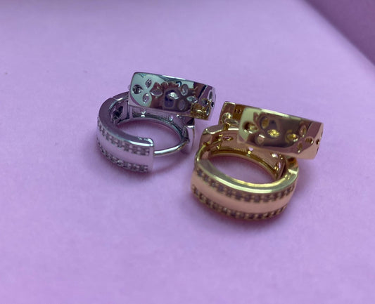 Brincos Estilo e elegancia XYE102301