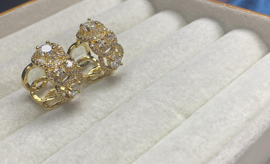 Brincos entrelacados XYE102007