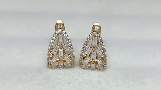 Brincos Argola Luxo DCG0587