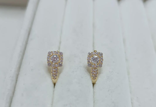 Brincos luxo e brilho DCG0871