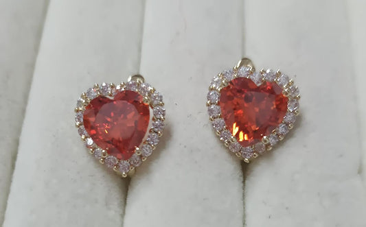 Brincos Encantados DCG0993